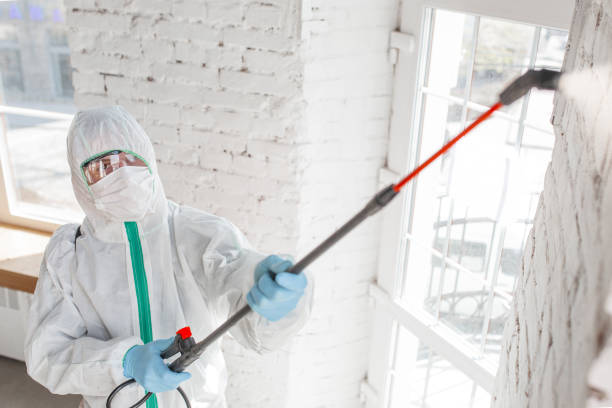 Best Industrial Mold Remediation  in Falling Waters, WV