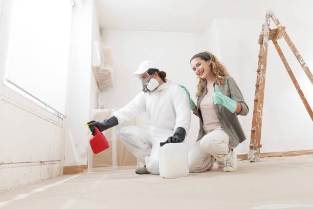 Mold Remediation for Vacation Homes in Falling Waters, WV